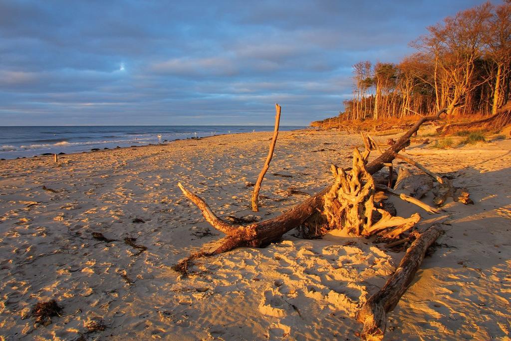 Strandhotel Duenenmeer - Adults Only Дирхаген Экстерьер фото