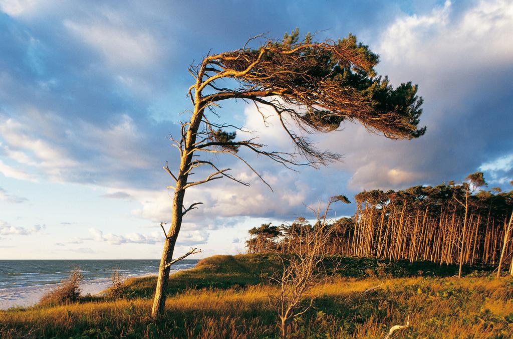 Strandhotel Duenenmeer - Adults Only Дирхаген Экстерьер фото
