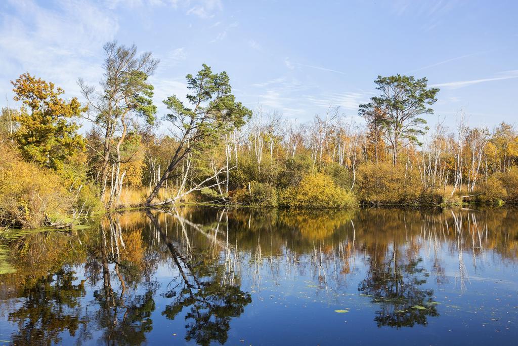 Strandhotel Duenenmeer - Adults Only Дирхаген Экстерьер фото